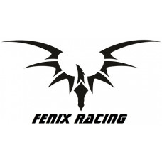 Fenix Racing
