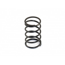 DVS-W Center Damper Spring (Medium)